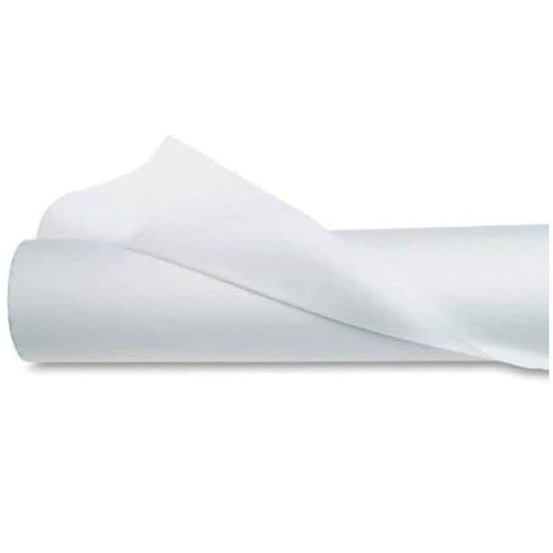 Canvas Polycotton – Premium Matte (350 GSM) - Thumbnail 2